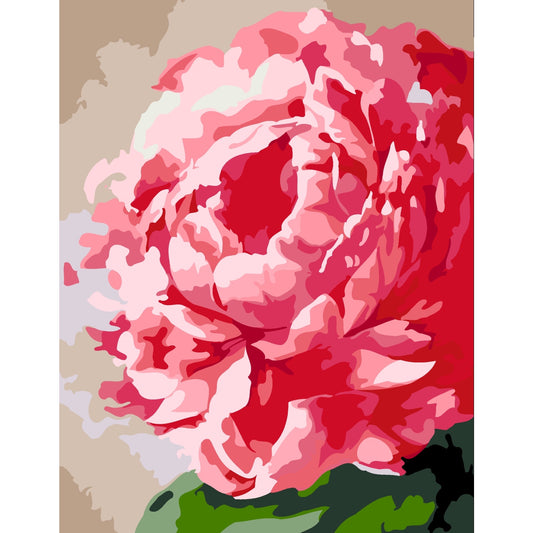 Artwille DIY Paint by Numbers for Adults and Kids - Peony Flower